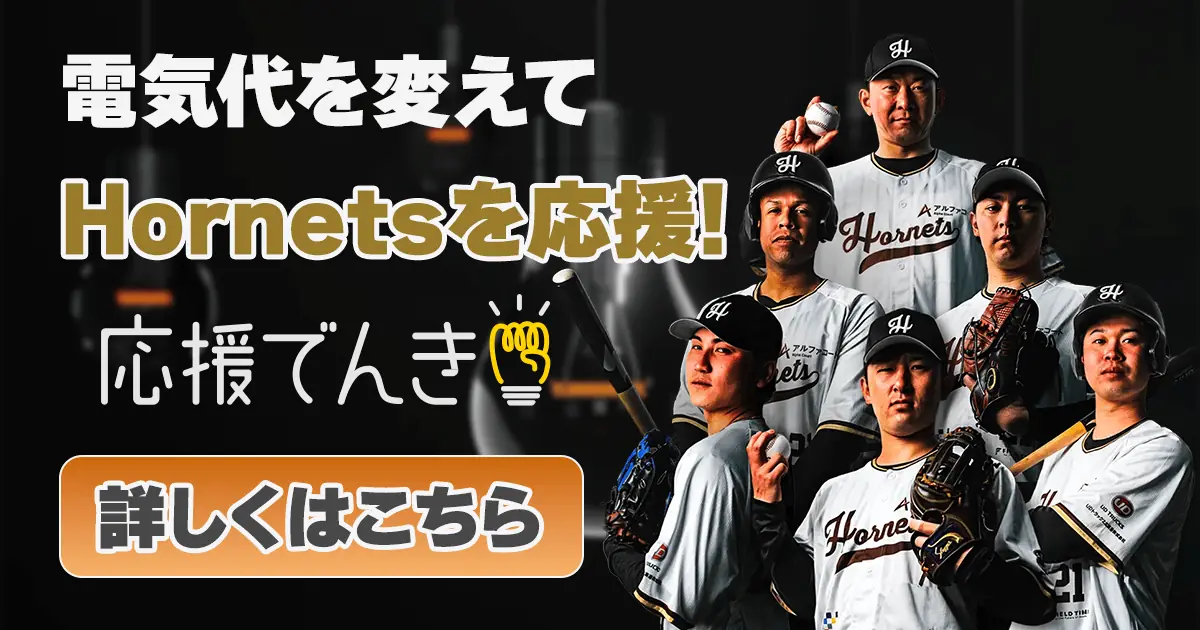 Hornets × 応援でんき